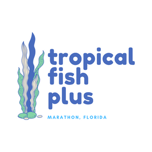 Tropical Fish Plus logo