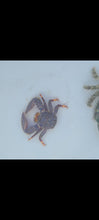 Load image into Gallery viewer, Porcelain Crab