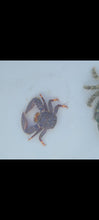 Load image into Gallery viewer, Porcelain Crab

